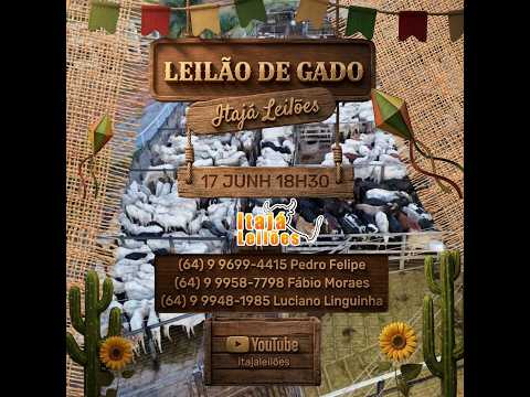 LEILAO DE GADO DA ITAJÁ LEILÔES