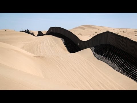 Immigration violations: The one thing to know