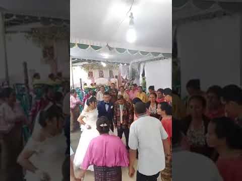 Gawi memeriahkan acara pernikahan adik #wolowiro-kab.sikka