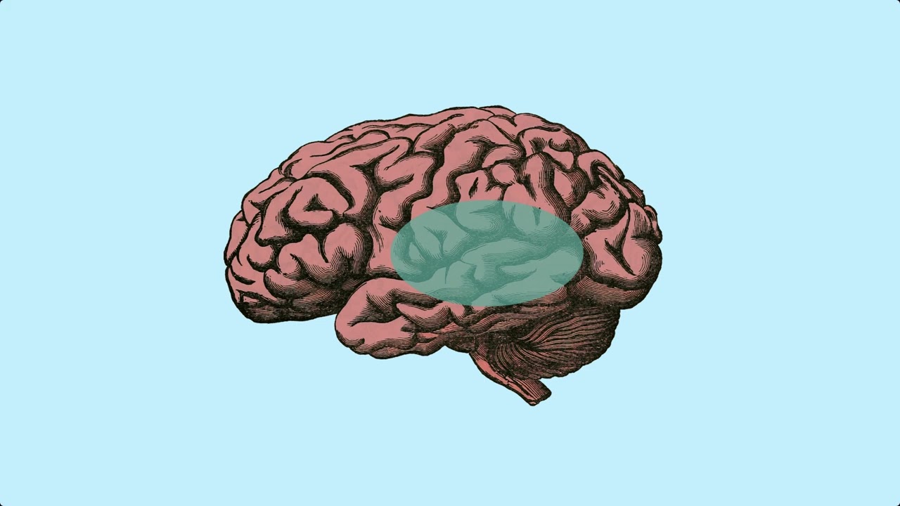 What is math fact fluency?