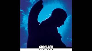 Godflesh - Parasite