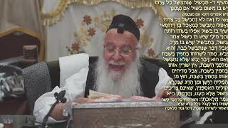 552הלכה יומית סימן שיח- דין המבשל בשבת סעיף ד-ו הרב בניהו שמואלי