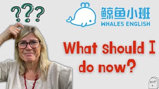Whales English - What should I do now? ESL update