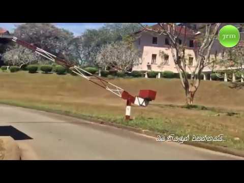 ඔබ කියා දුන් වසන්තයයි   Dr Eshma Samarasinghe Oba Kiyadun Wasanthayai