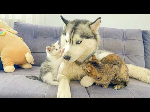 YouTube 썸네일