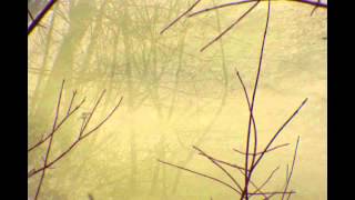 Dave McKenna, "Dream Dancing"