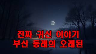 Download lagu 진짜 귀신 이야기   부산 동래의 오래된 시장에서 벌어진 실화 공포 이야기   새벽 어둠 속에서 들려온 셔터 여는 소리를 들은 상인 mp3