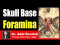 Foramina of the Skull and their Contents, Dr Adel Bondok