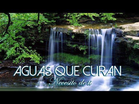 Aguas que Curan (Necesito de Ti) Jaime Ospino - IURD