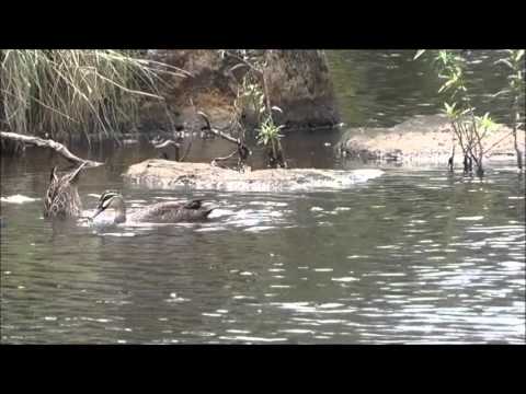 Happy Birthday my dear friend Melitta!