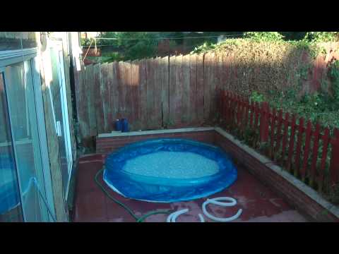 How to clear an overgrown garden in 25 seconds