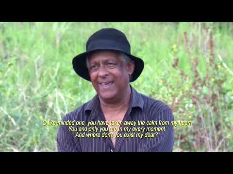 Devindra Pooran (Brown Sugar Too Bitter For Me 2 - Mahadeo Shivraj Productions)