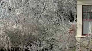 preview picture of video '2008 Maine Ice Storm'