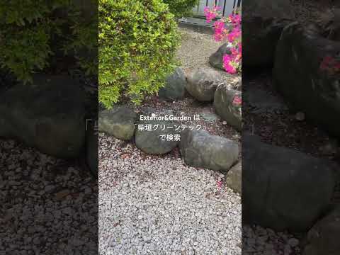 オリーブの木と砂利のある庭園