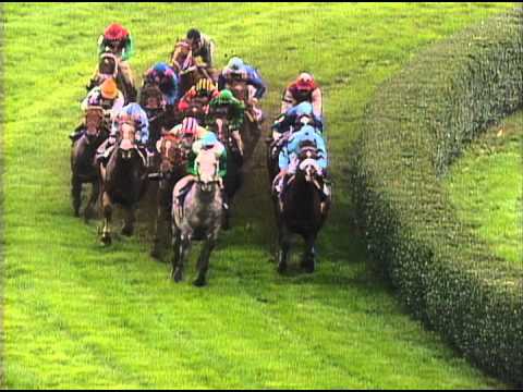 1995 Breeders' Cup Mile