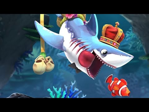 Porbeagle S Shark Live Contest! 5 Gold Rush! - Hungry Shark World