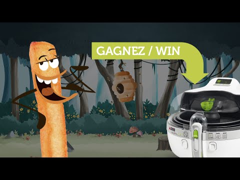Actifry / The Van de Frit adventure