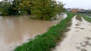 preview picture of video '02-11-2010 07.50 BACCHIGLIONE - Via Decorati - PD -  15 cm per l'esondazione del fiume'