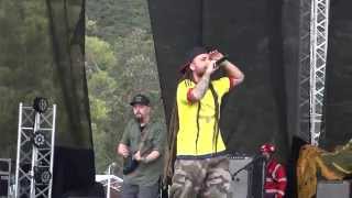 Bailando al son del Mar - Green Valley