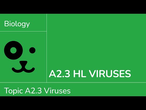 A2 3