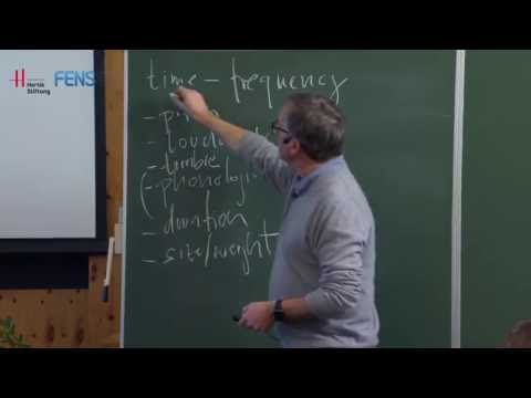 FENS Hertie Winter School 2015: David Poeppel on Linking motor and perceptual systems in speech