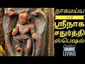 நாகமய்ய பாட்டு ஸ்ரீ நாக சதுர்த்தி ஸ்�