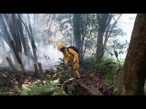 森林護管員地面滅火