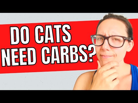 Do cats need carbohydrates?