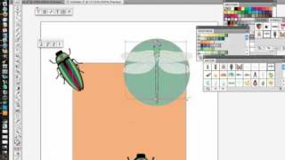 Clipping Masks in Illustrator CS5