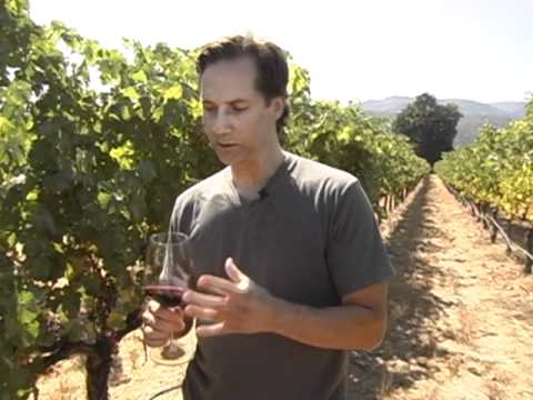 download lagu mp3 mp4 Hall 2010 Cabernet Sauvignon, download lagu Hall 2010 Cabernet Sauvignon gratis, unduh video klip Hall 2010 Cabernet Sauvignon