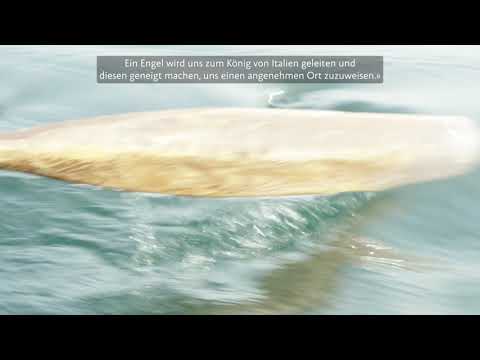 Gallus und die irische Mission : St Gall and the Irish mission