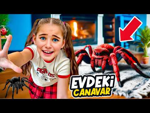 GIANT SPIDER IN THE HOUSE!! ELIF SINEM'S FATHER FAD FALLEN FROM FEAR!! IT BITED ELİF!!