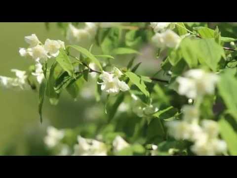 Gospodarstwo Agroturystyczne Zamostowo - PROMO