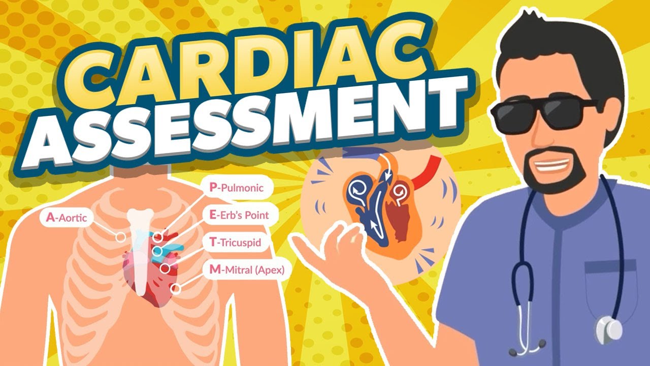 Cardiac Assessment Song | Nurse Mike's Memory Music for Nursing Students