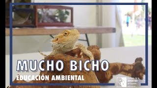 CJEX: MuchoBicho. Educación Ambiental