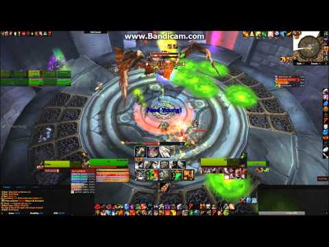Direct vs. Throne of Thunder - Ji-Kun - 10m Heroic - Prot Warrior PoV