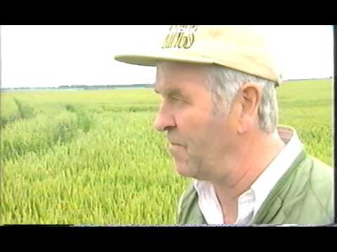BBC Against the Grain - Episode 2