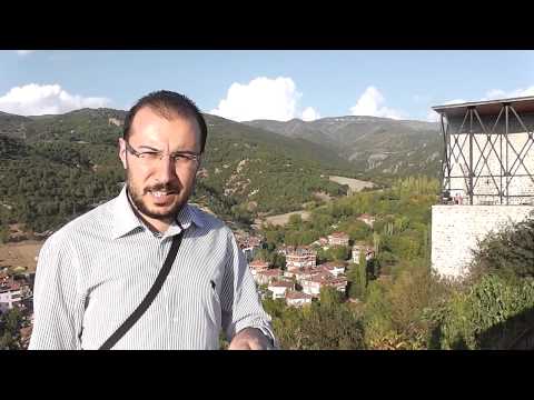 Ayla Dikmen-Niksar'ın Fidanları-1965