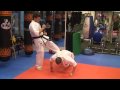 Kyokushin Conditioning