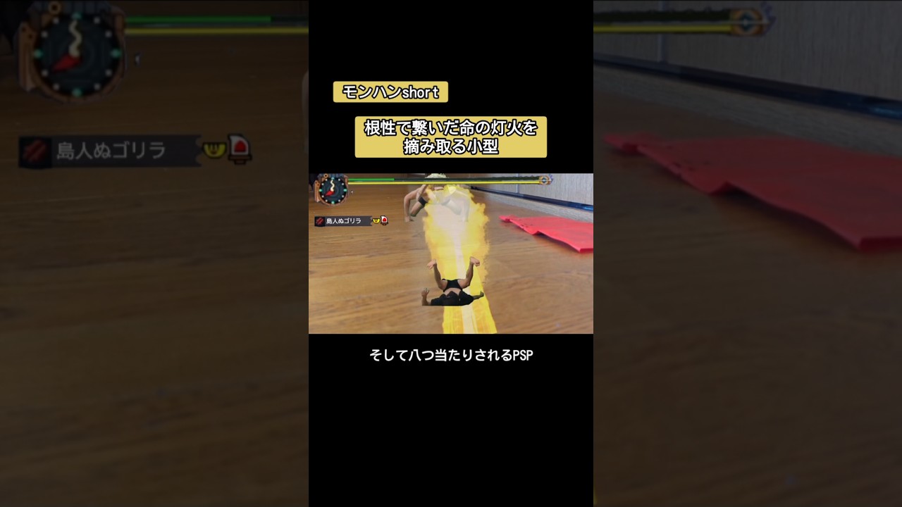 【モンハン】根性で繋いだ命の灯火を摘み取る小型　monsterhunter #モンハン