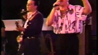 the Fabulous Thunderbirds w/SRV