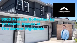 Must-See Tri Pointe 3503 Home in Aurora Highlands