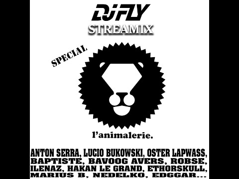 Dj Fly - L' Animalerie (Streamix)