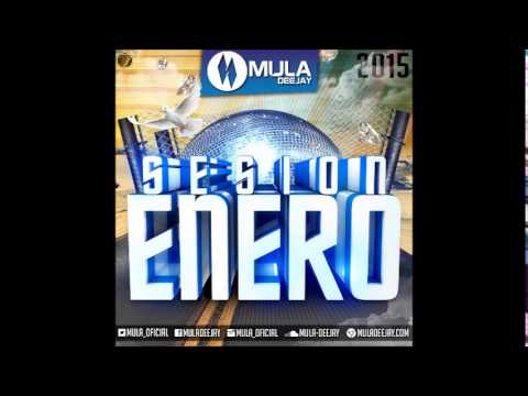 13. Sesión Enero 2015 (Mula Deejay)