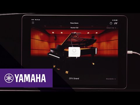 Yamaha Discovery - CSP Connection | Yamaha Music