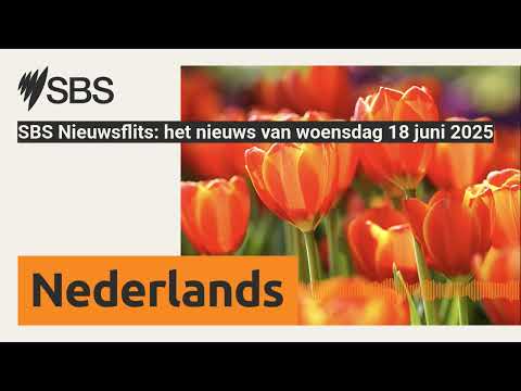 SBS Nieuwsflits: het nieuws van woensdag 18 juni 2025 | SBS Dutch - SBS Nederlands