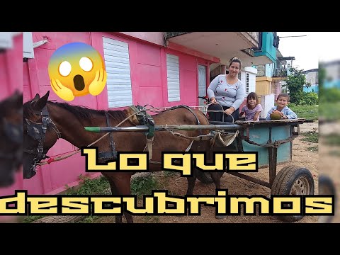 Esto encontramos en un campo de Cuba 🇨🇺