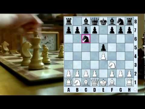 CINEMA SCACCHI 17 - La Regina degli Scacchi - 2