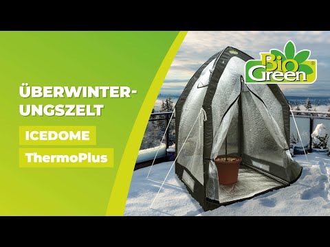 Überwinterungszelt "ICEDOME ThermoPlus": Perfekter Schutz für Pflanzen vor Schnee, Frost, Regen etc.