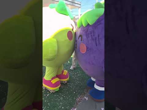 샤샤포포 몸싸움 ㄷㄷ